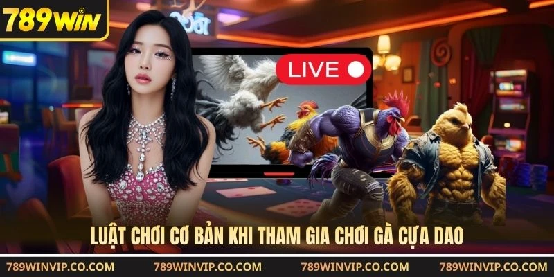 Luật chơi cơ bản khi tham gia chơi gà cựa dao